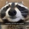 bbnohoney