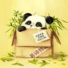 PinkPanda_