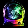 SupernovaTheCat